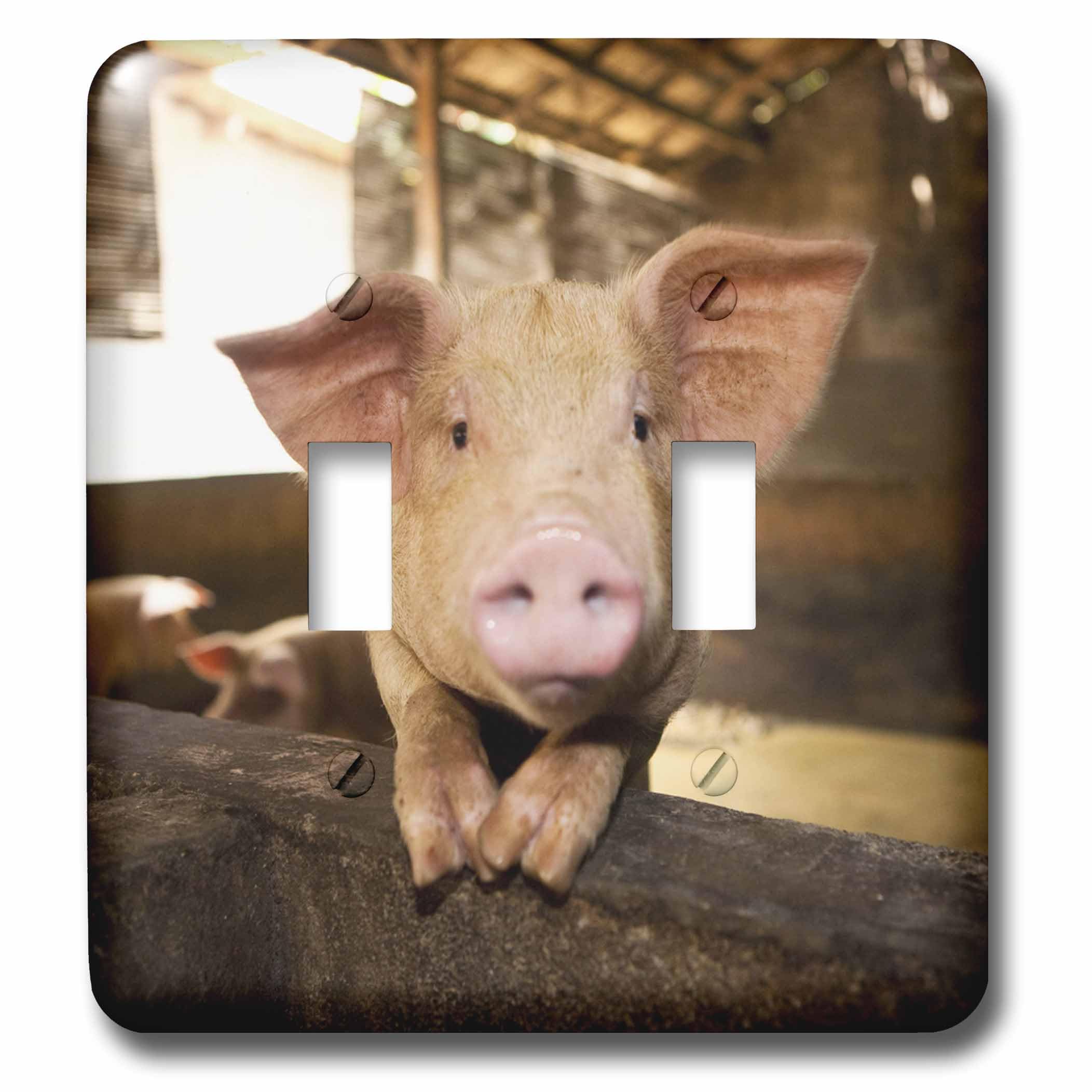 Interrupteur double porc Bali pour une décoration de salon exotique