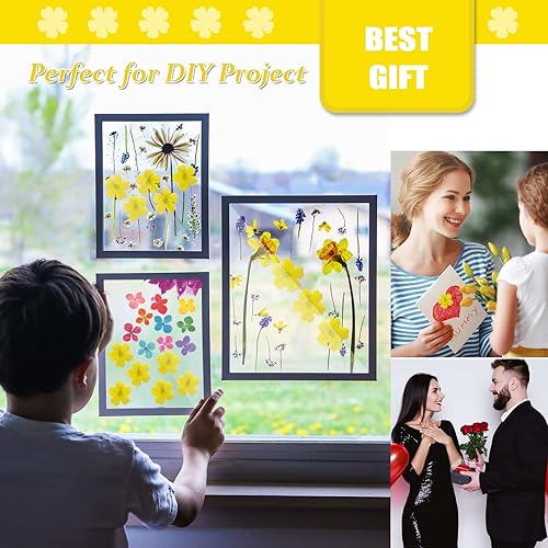 Miniatura 5 de Flores de cerezo secas amarillas para adornos de manualidades, 60 flores de cerezo prensadas naturales para joyería de resina, decoración de fundas