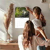 Vista 427 de Razas de Perros 2017