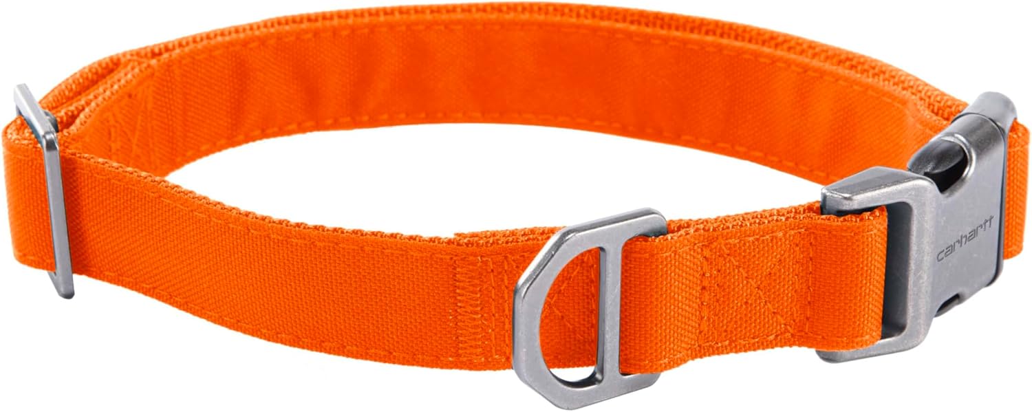 Carhartt Field Dog Collar, Fully Adjustable, Durable 600-Denier Fabric W/Reflective Wordmark for Visibility, Hunter Orange, Large