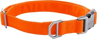 Carhartt Field Dog Collar, Fully Adjustable, Durable 600-Denier Fabric W/Reflective Wordmark for Visibility, Hunter Orange, Large