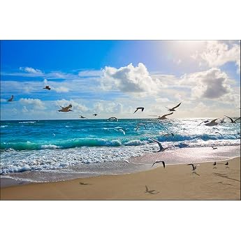 Muralo Photo Wallpaper Non-Woven Beach Sea Waves Sky XXL 240 x 360 cm