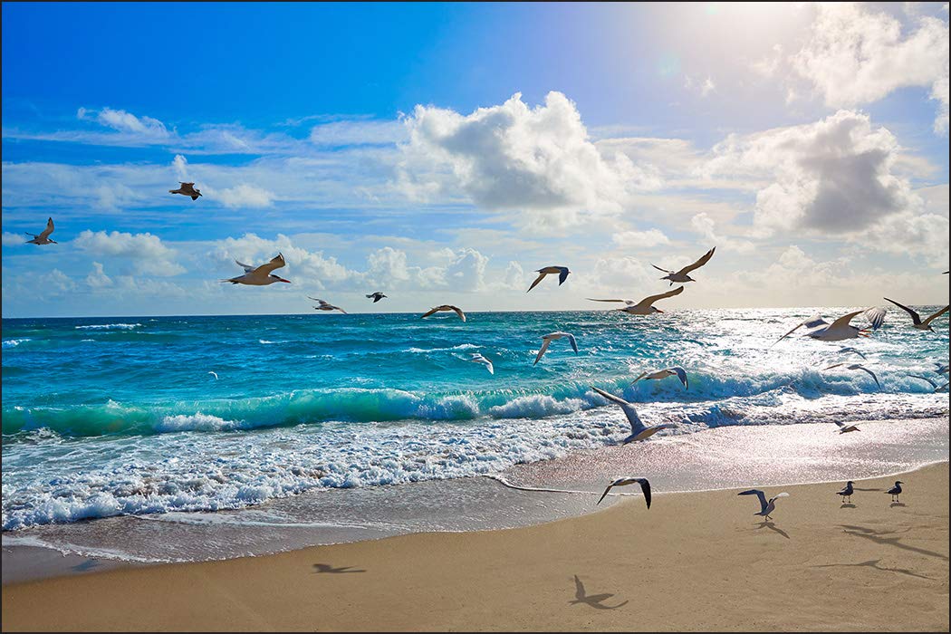 Muralo Fototapete Vlies Strand, Meer, Wellen, Himmel, XXL - 240x360 cm | Fantasievolle Tapete, hochauflösender Druck - ideal für Wohnzimmer und Schlafzimmer, Urlaubsfeeling für jeden Tag
