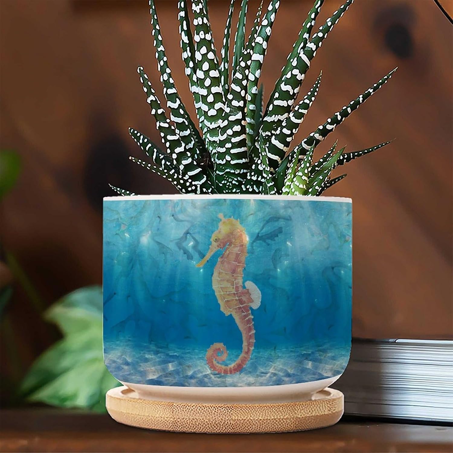 Beach Themed Sea Horse Ceramic Planter Set of 3 Nautical Ocean Animal Succulents Plants Live with Pot with Drainage Holes Small Plant Pots Birthday Gift to Women