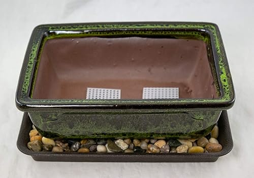 Miniatura 3 de Maceta rectangular verde musgo de 8 pulgadas + bandeja + roca + malla combinada