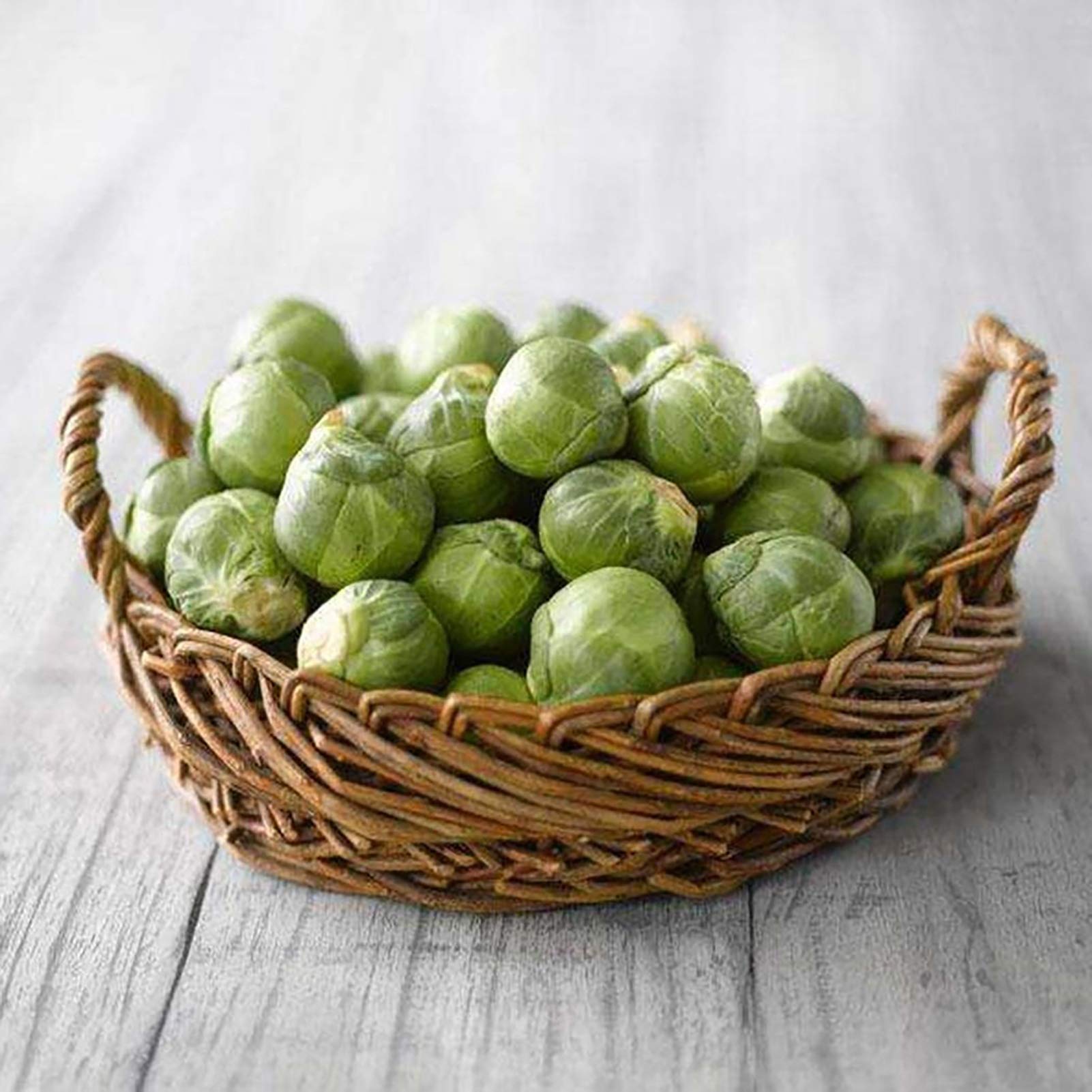 VibeX Heirloom Brussels Sprout Seeds-250 Seeds (B0B9Y53P2H) Amazon Price History, Amazon Price Tracker