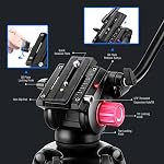 NEEWER 79"/200cm Video Tripod, Heavy Duty Aluminum Alloy Camera Tripod Stand with 360° Fluid Drag Head, QR Plate Compatible with Canon Nikon Sony and Other DSLR Camera Camcorder, Load Up to 17.6lb/8kg