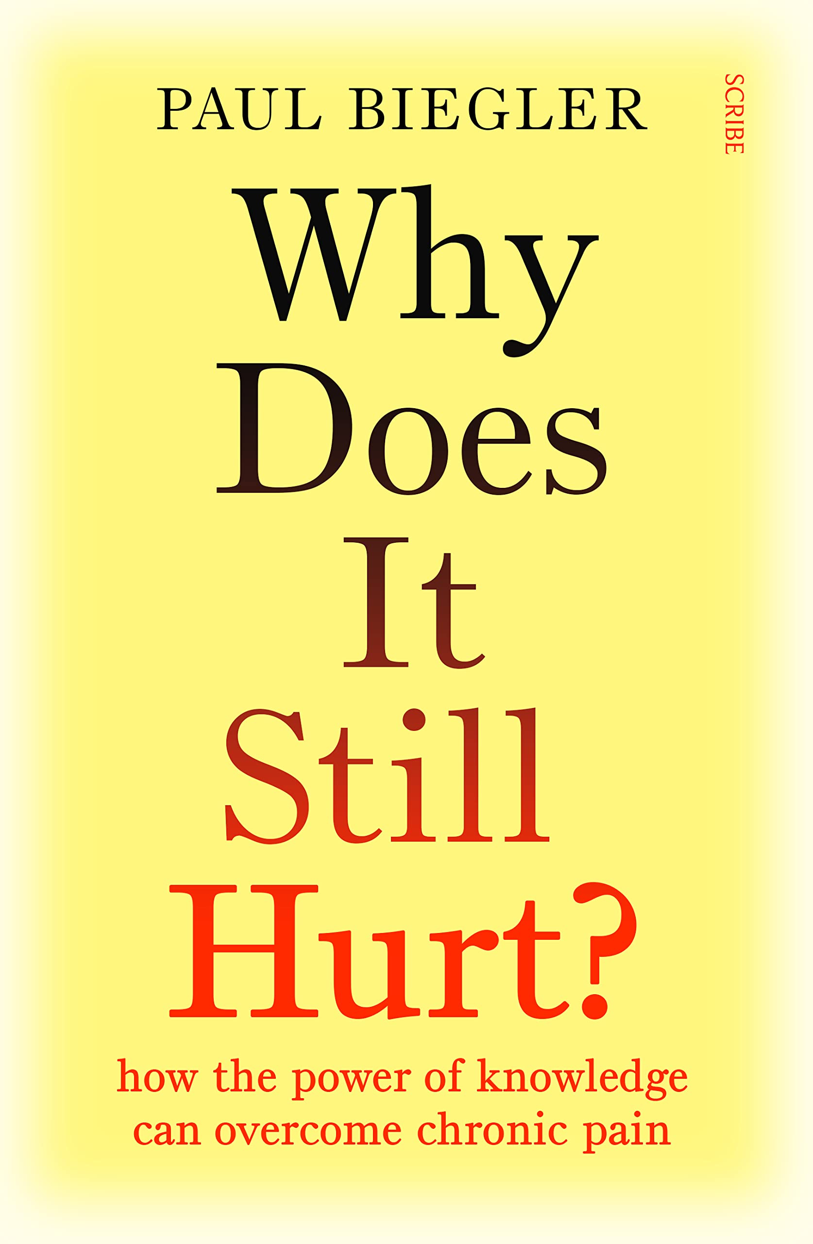 Why Does It Still Hurt?: how the power of knowledge  by Paul Biegler PAPERBACK