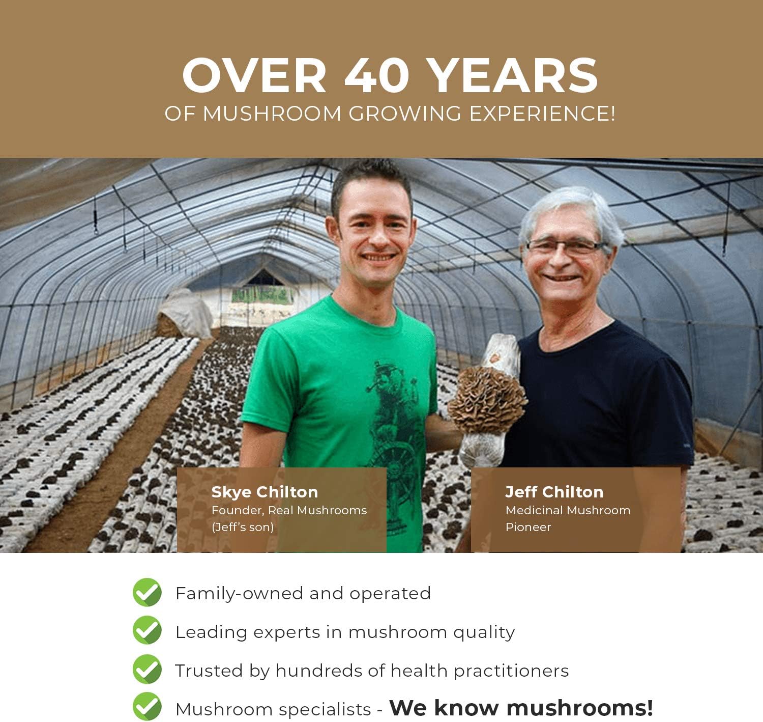 Lions Mane Mushroom Cognition Capsules (120 Capsules) Lions Mane Mushroom Powder Extract Capsules | Brain Supplement, Brain Vitamins, Focus Supplement : Health & Household