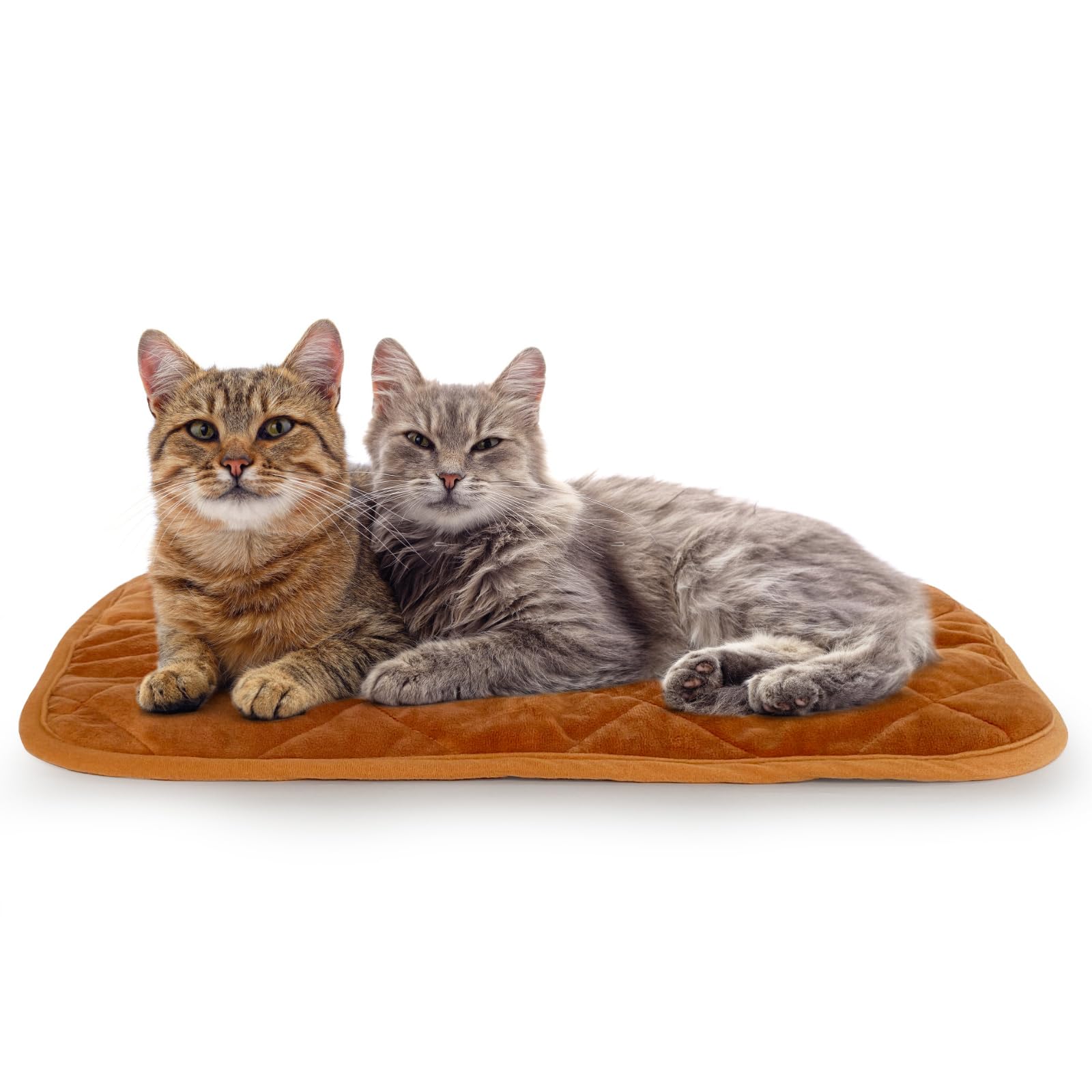 NAMOTEK Self-Warming Cat Bed Indoor/Outdoor Super Soft Self Heating Pet Mat Washable Thermal Pad for Cat & Dog 29x19.6 inch