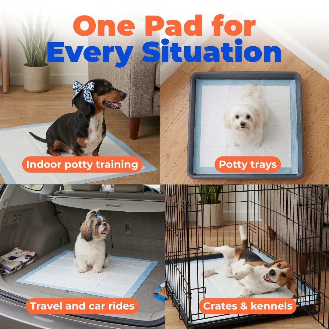 Best Pet Supplies Assorbenti usa e getta per cuccioli e cani da addestramento, confezione da 100, ultra assorbenti, resistenti alle perdite e senza traccia, per animali domestici al coperto,