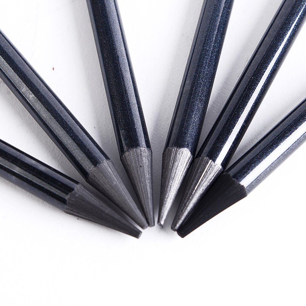 SIQITECHNO Woodless Graphite Pencils Set - 6Pcs (HB To EE) For Drawing, Sketching & Shading