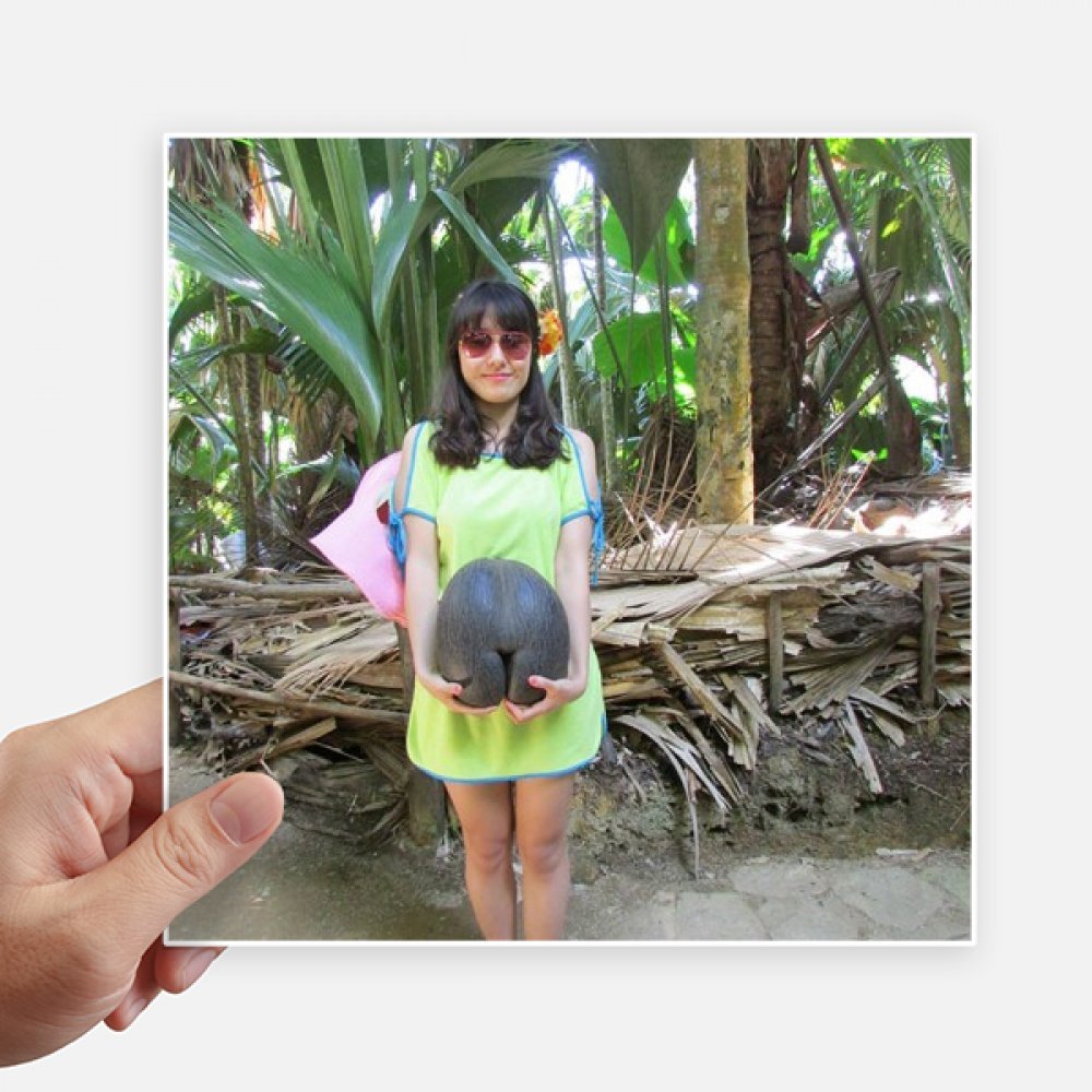 Calcomanías de coco Ellie Yao impermeables de 20cm adhesivos resistentes para motos y pared