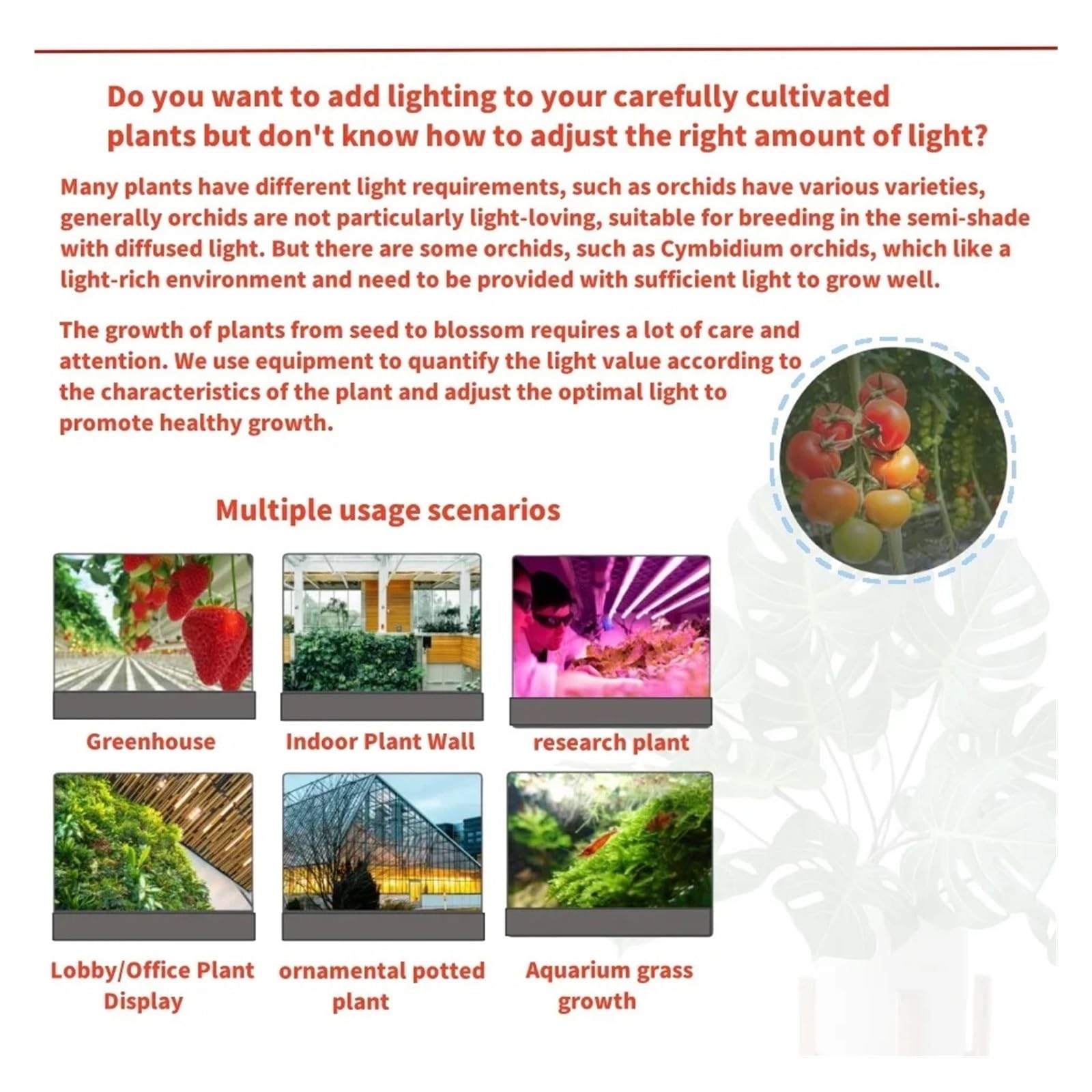 Espectrofotómetro, Medidor De Iluminancia Espectro Completo, PAR PPFD, Flujo Luminoso, Medición Fotosíntesis Plantas, Luz