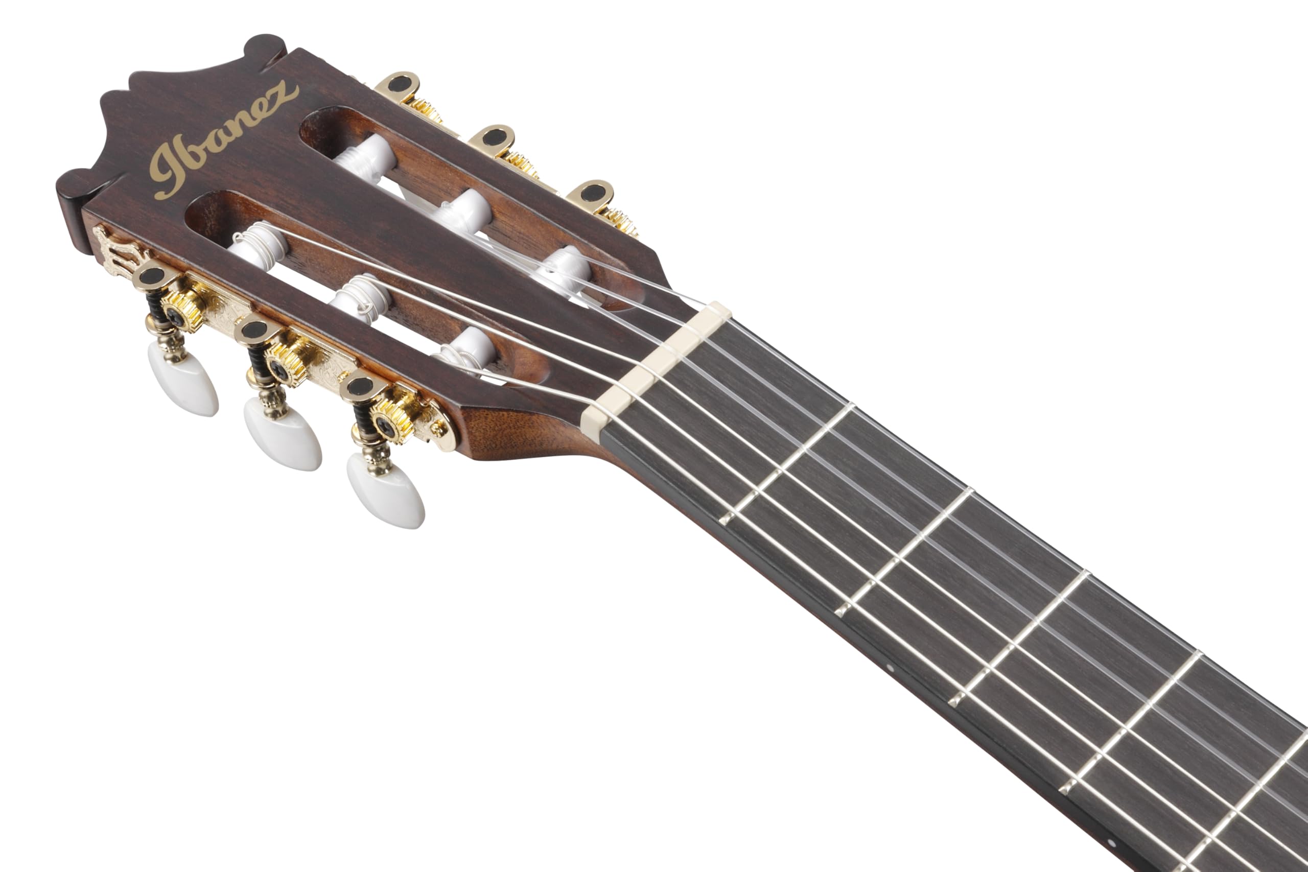 Ibanez Acoustic guitar / GA5MHTCEOPN Standard