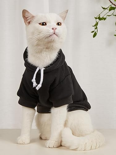 Miniatura 3 de QWINEE Sudadera básica con capucha para perro, chaqueta cálida para perro, ropa para gato, camisa para perro, ropa para cachorros, gatitos pequeños