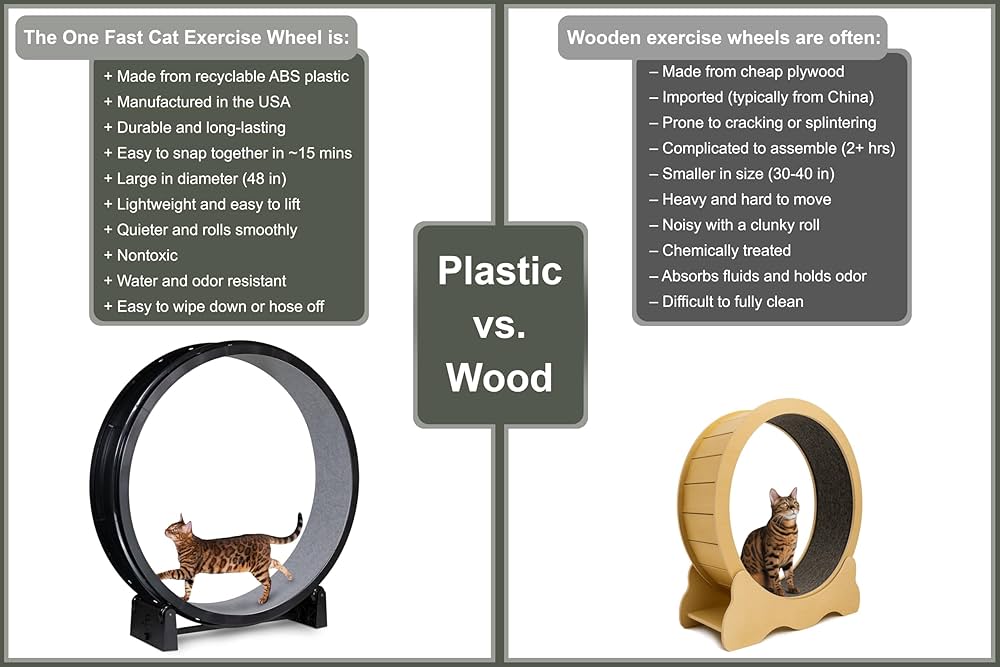 Amazon.com : One Fast Cat - Cat Exercise Wheel - Gen. 7