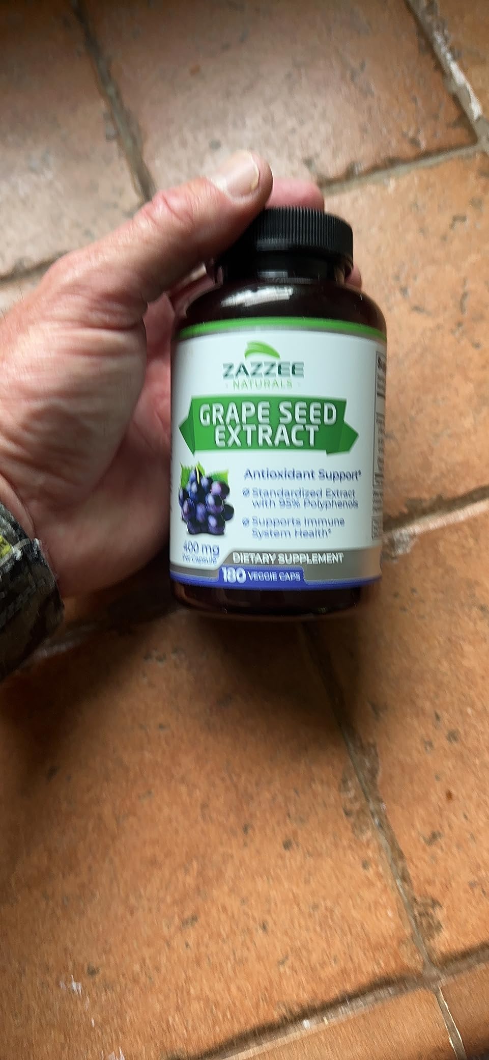 Zazzee High Strength Grape Seed 50:1 Extract, 180 India | Ubuy