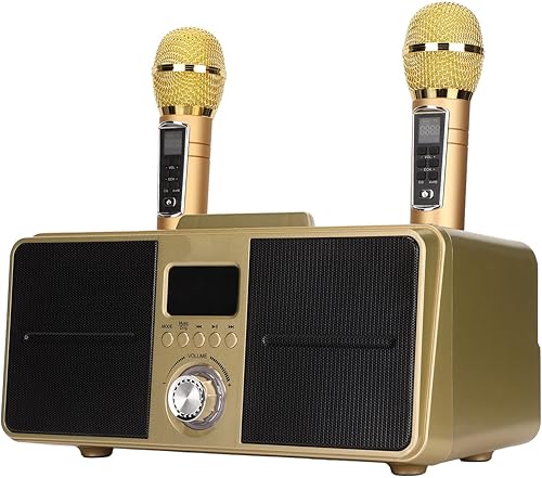SD309 - Máquina de karaoke, sistema de altavoces de karaoke portátil con 2 micrófonos inalámbricos, altavoz de máquina de cantar para fiestas en