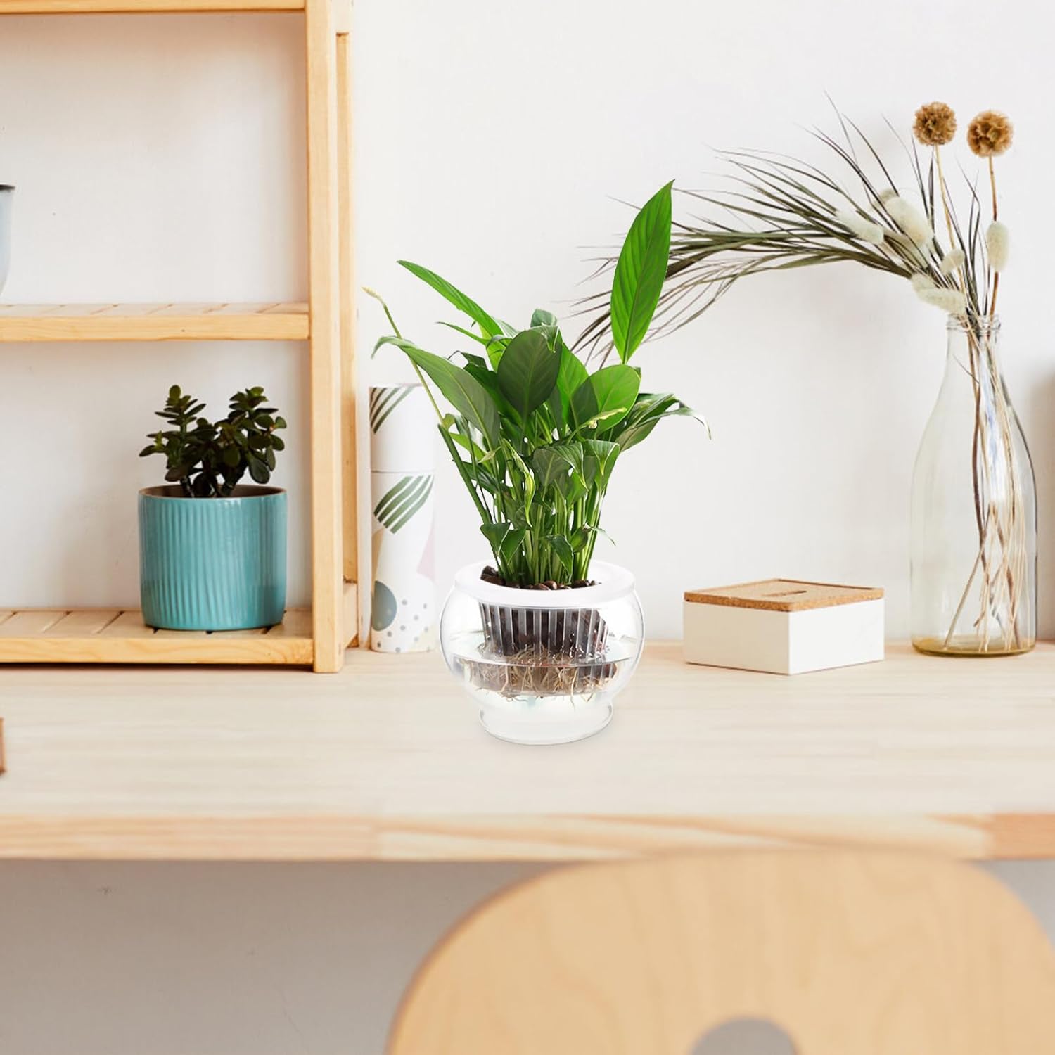 LIFKOME 2pcs Glass Hydroponics Flower Vase for Desktop Decor Plant Holder for Home Office Hotel Creative Indoor Fish Tank Ornament