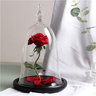 RTYUIE Beauty and The Beast Red Rose Artificial Flower Rose Glass Dome Decoration Romantic Christmas Valentine's Day Birthday Gift Beautiful and Generous (Color : Red)