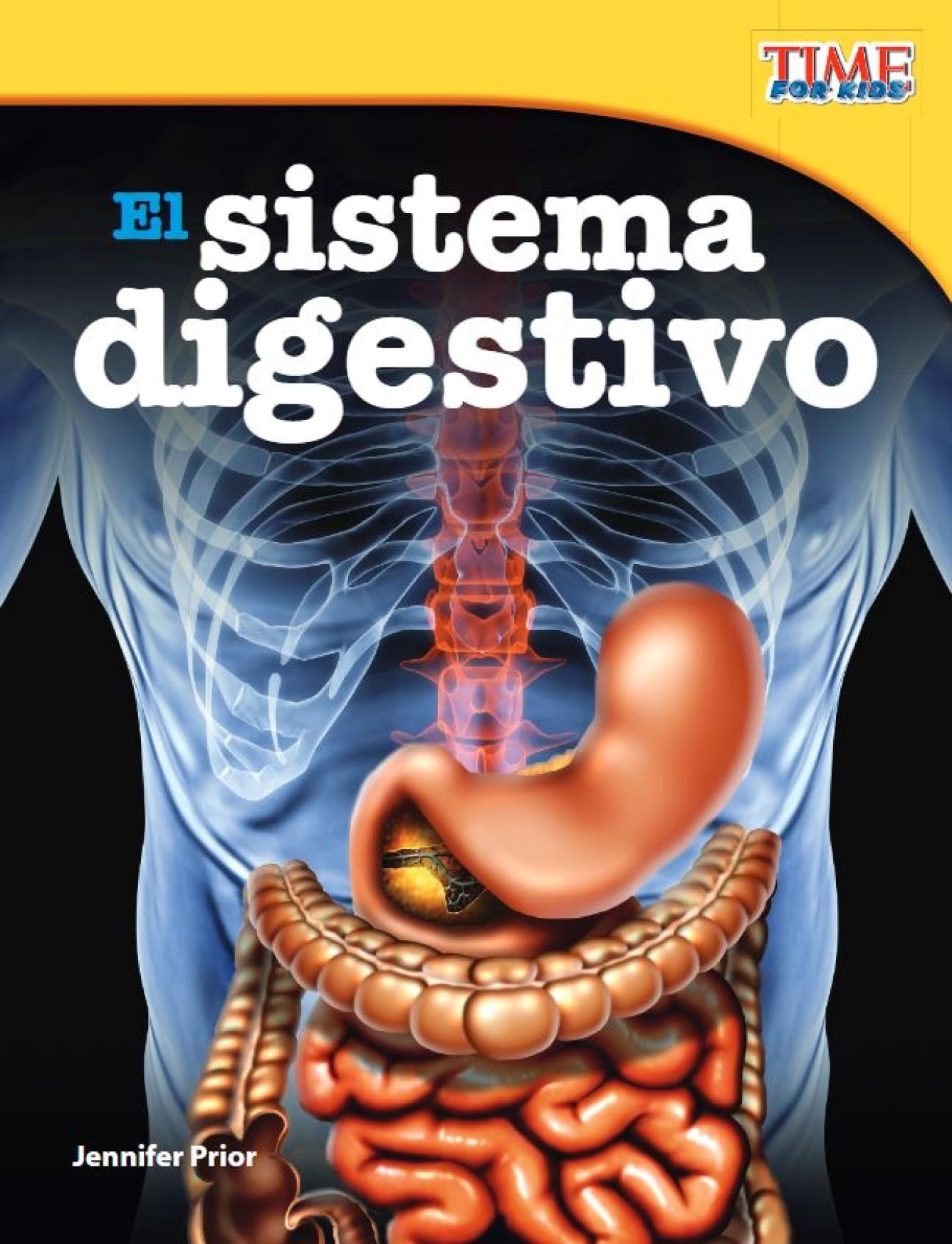 El sistema digestivo (The Digestive System) (Spanish Version)