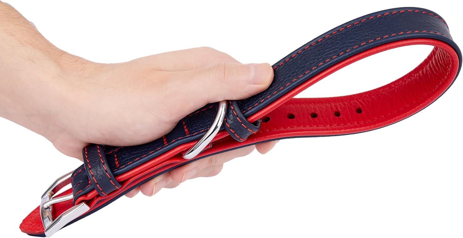 Cowhide Leather Dog Collar with Name Plate | Personalized Dog Collars for Small, Medium and Large Dogs | Engraved Dog Collar | Durable Heavy Duty Dog Collars