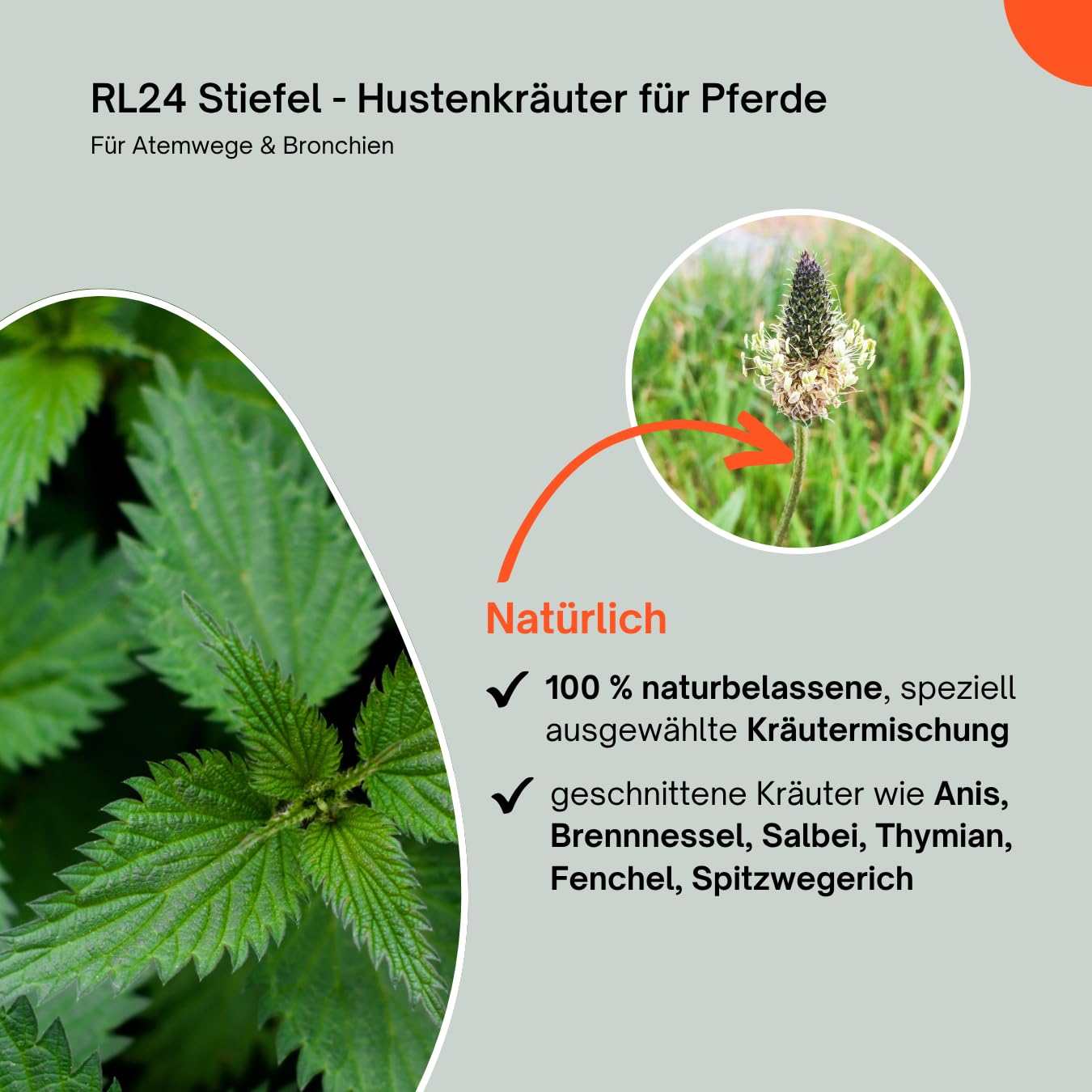 RL24 Stiefel - Hustenkräuter für Pferde – 3 x 1000 g Tüte (3er Set)