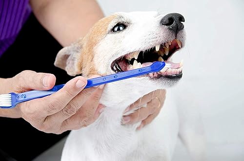 Miniatura 6 de Pets First Cepillo de dientes para perros con cerdas más suaves, extra grande, largo de doble cara para dientes pequeños y grandes, juego de 2,