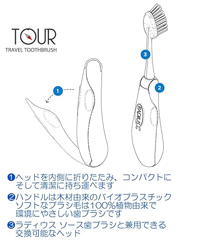 Miniatura 7 de RADIUS Tour Travel Brush & Case con cabezal de cepillo reemplazable, cepillo de dientes aceptado por ADA para mejorar la salud de las encías, humo,