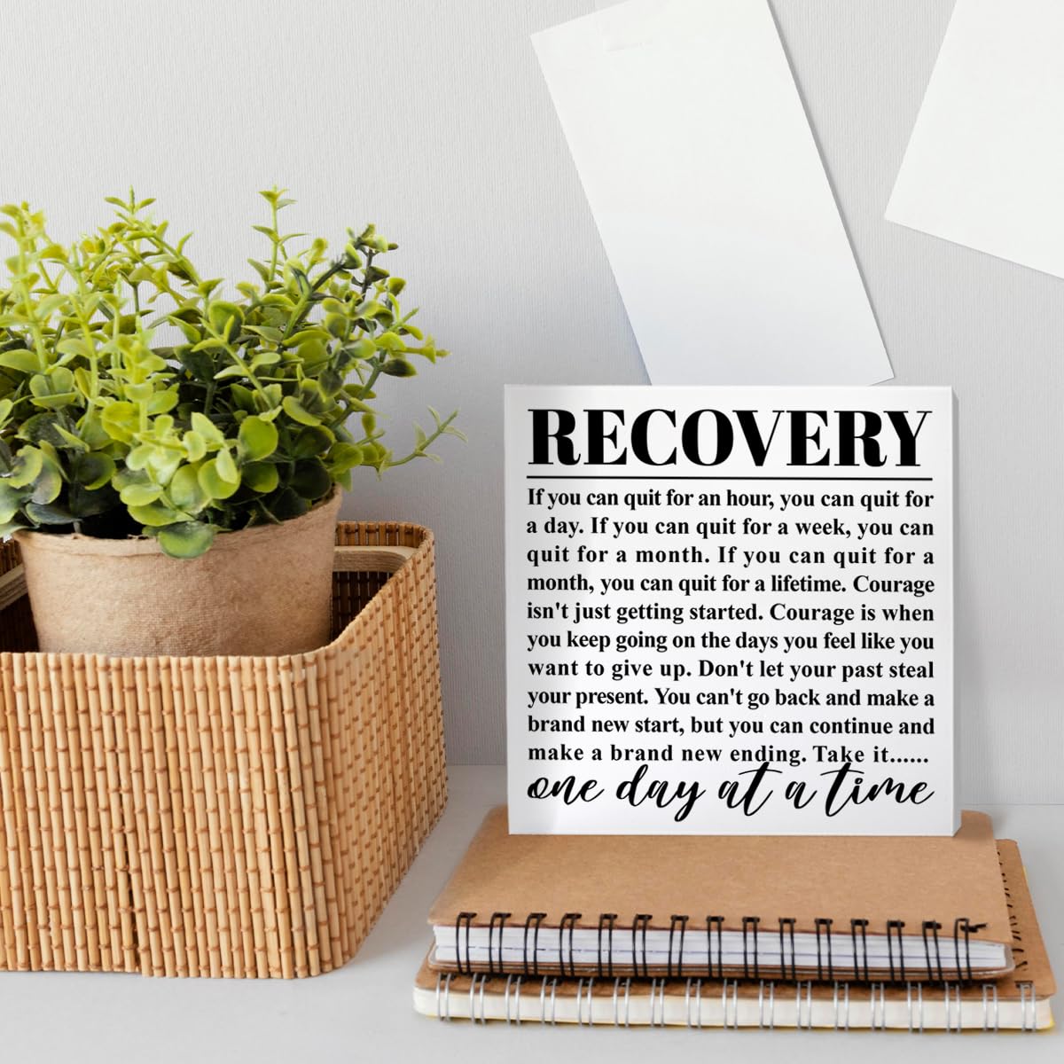 Recovery Gift for Women Men, Sobriety Gift for Dad Mom Son, AA NA Alcoholics Anonymous Gift Addiction Recovery Narcotics Anonymous Gift, One Day at a Time