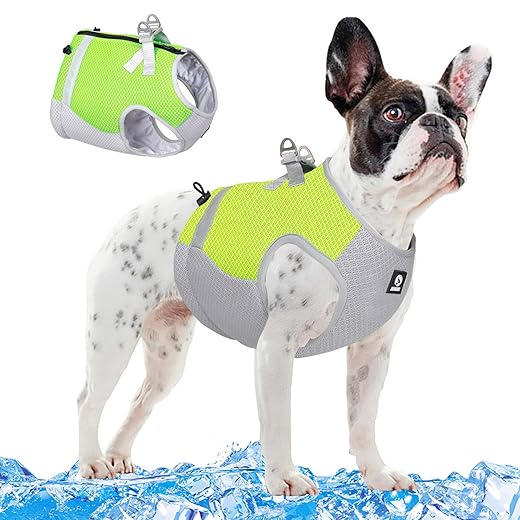 SMALLLEE_LUCKY_STORE Cooling Vest for Small Medium Dog Step-in Mesh Harness Cool Jacket Pet Evaporation Cooler Coat, Sun-Proof UV Protection Reflective Breathable for Summer Outdoor Travel,Orange,L