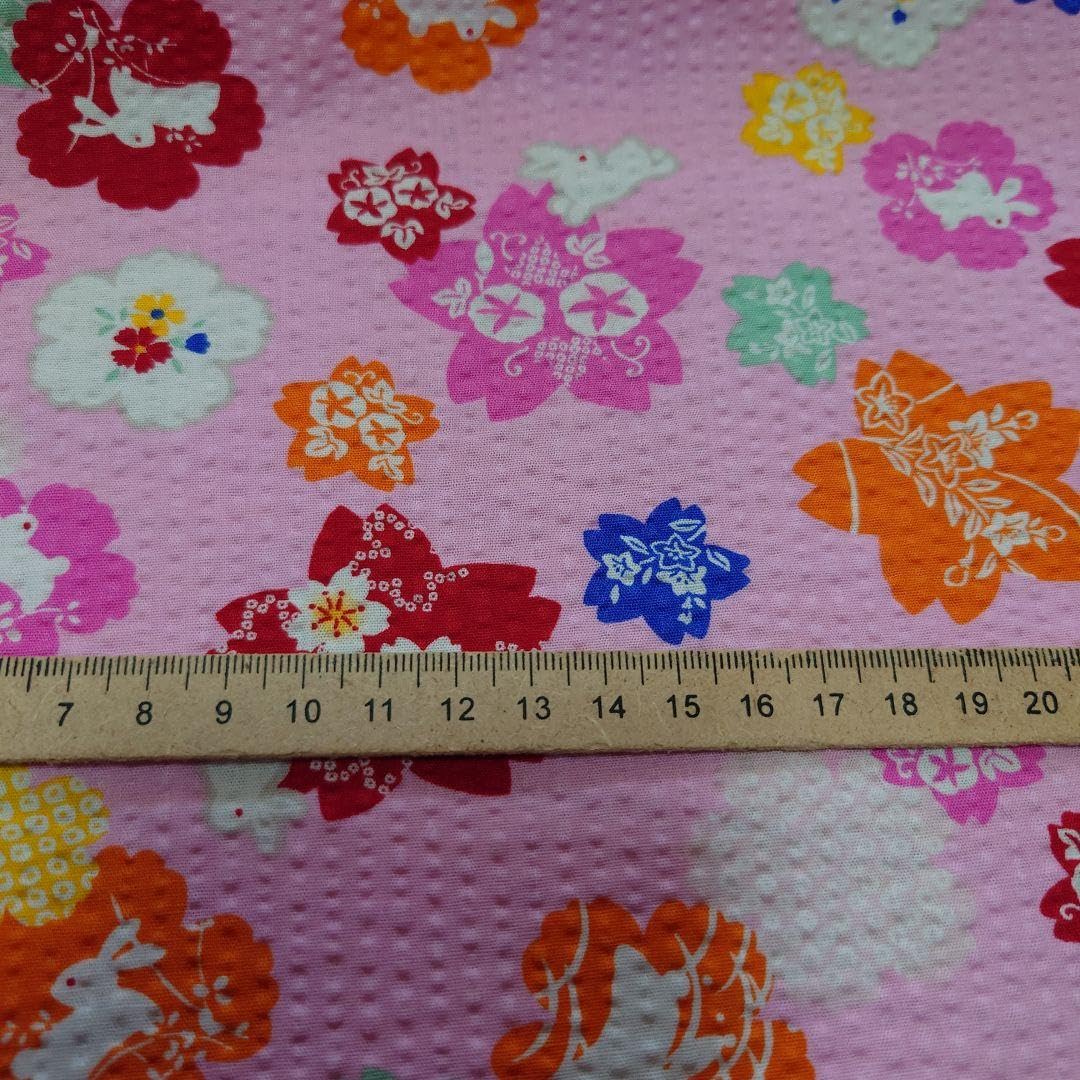 Amazon.co.jp: 夏生地 リップル 2枚セット りんご飴 うさぎ : 食品・飲料・お酒