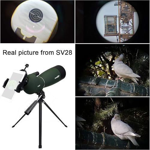 Miniatura 6 de SVBONY SV28 25-75x70 - Ámbitos de detección con trípode y SV46 20-60x80 HD de doble enfoque para observación de aves, caza, disparo al objetivo,