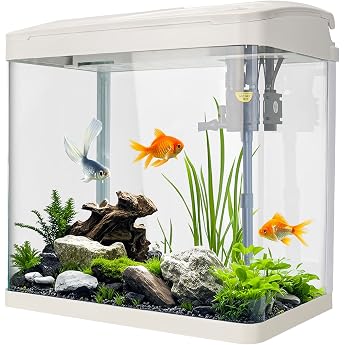17L Clear Glass Aquarium with LED Lighting Filter System Aquarium with White Pump for Tropical Fish