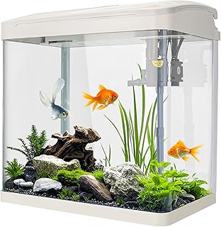 Fish Tank, 17L Glass Aquarium with Filter System, LED Lights, Water Pump, Betta Fish Tank for Goldfish, Shrimps, White