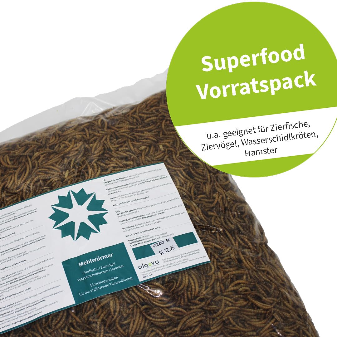 Suszone mączniki – naturalna karma dla owadów dla ryb ozdobnych, ptaków, żółwi, jeż (10 kg)