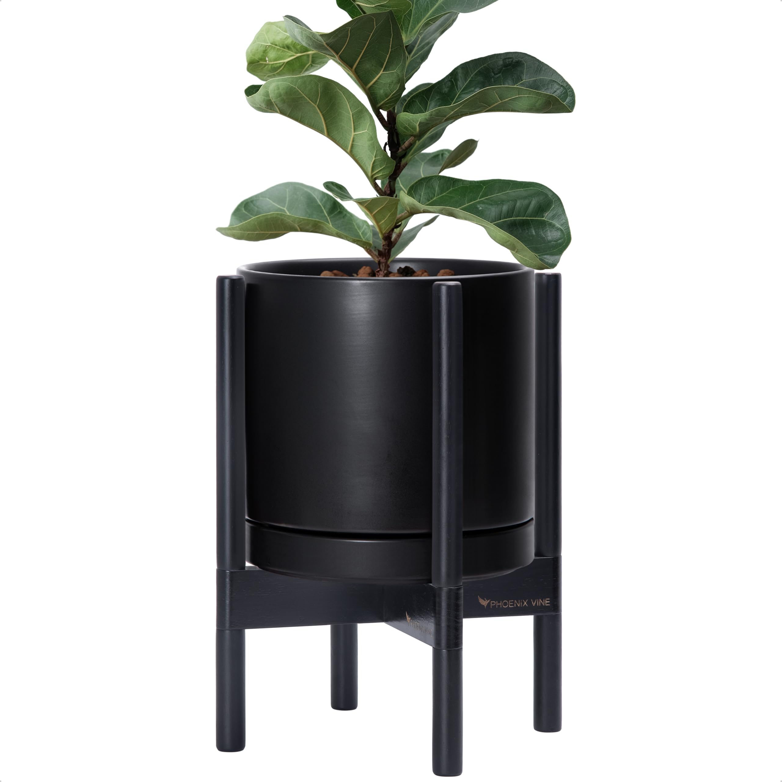 Amazon.com : D'vine Dev Ceramic Planter with Ebony Stand - 10 Inch
