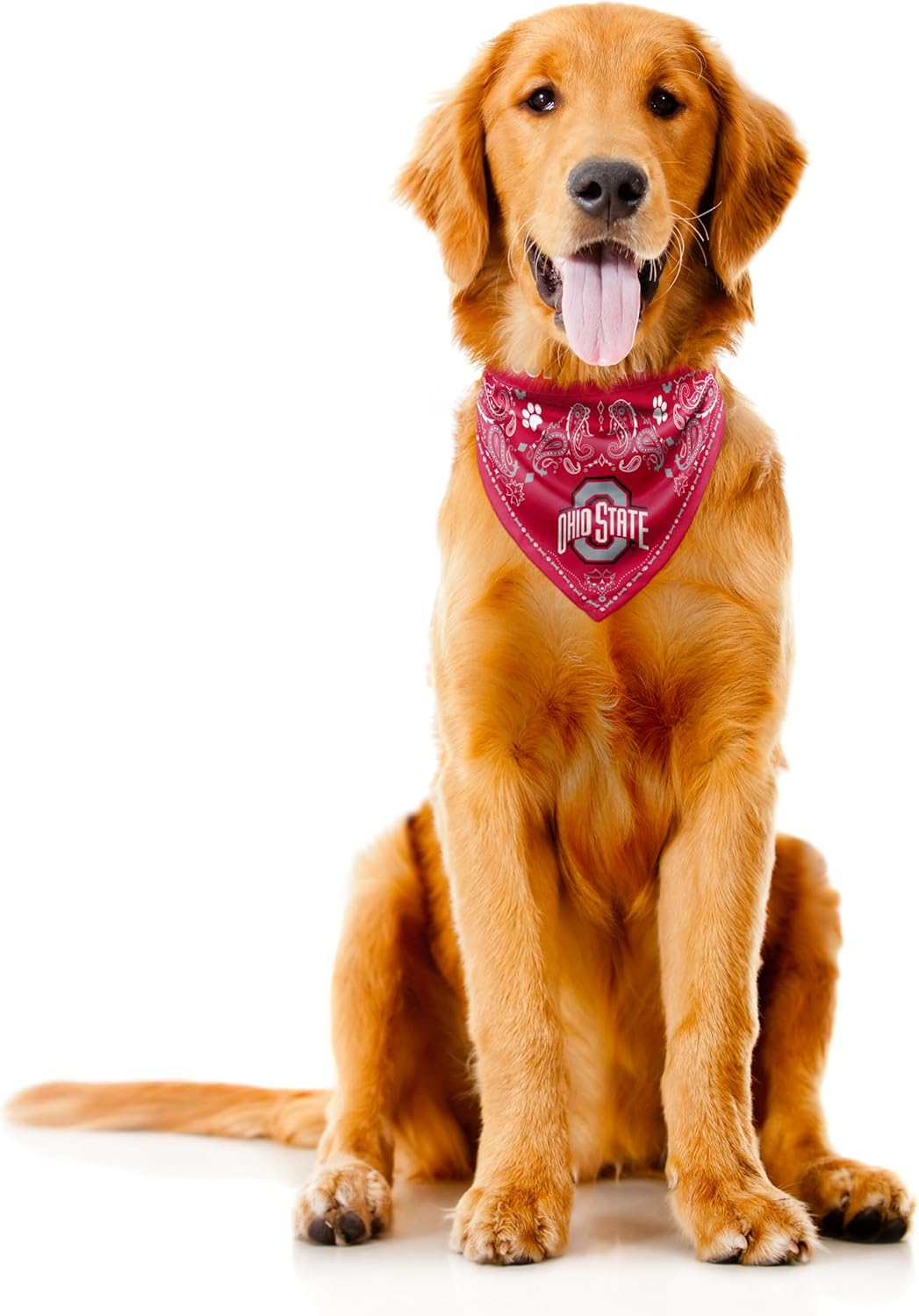 Littlearth NCAA Unisex NCAA Pet Bandana - Reversible