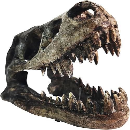 Cráneo de dinosaurio T-Rex huesos de resina para decoración de estantes de oficina en casa, escultura de cabeza de tiranosaurio realista, estatuilla