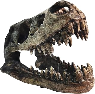 Dinosaur Skull T-Rex Bones Resin Craft Statue for Home Office Shelf Decor Lifelike Tyrannosaur Head Sculpture Figurine Gifts Reptile Hide House Shelter Cave