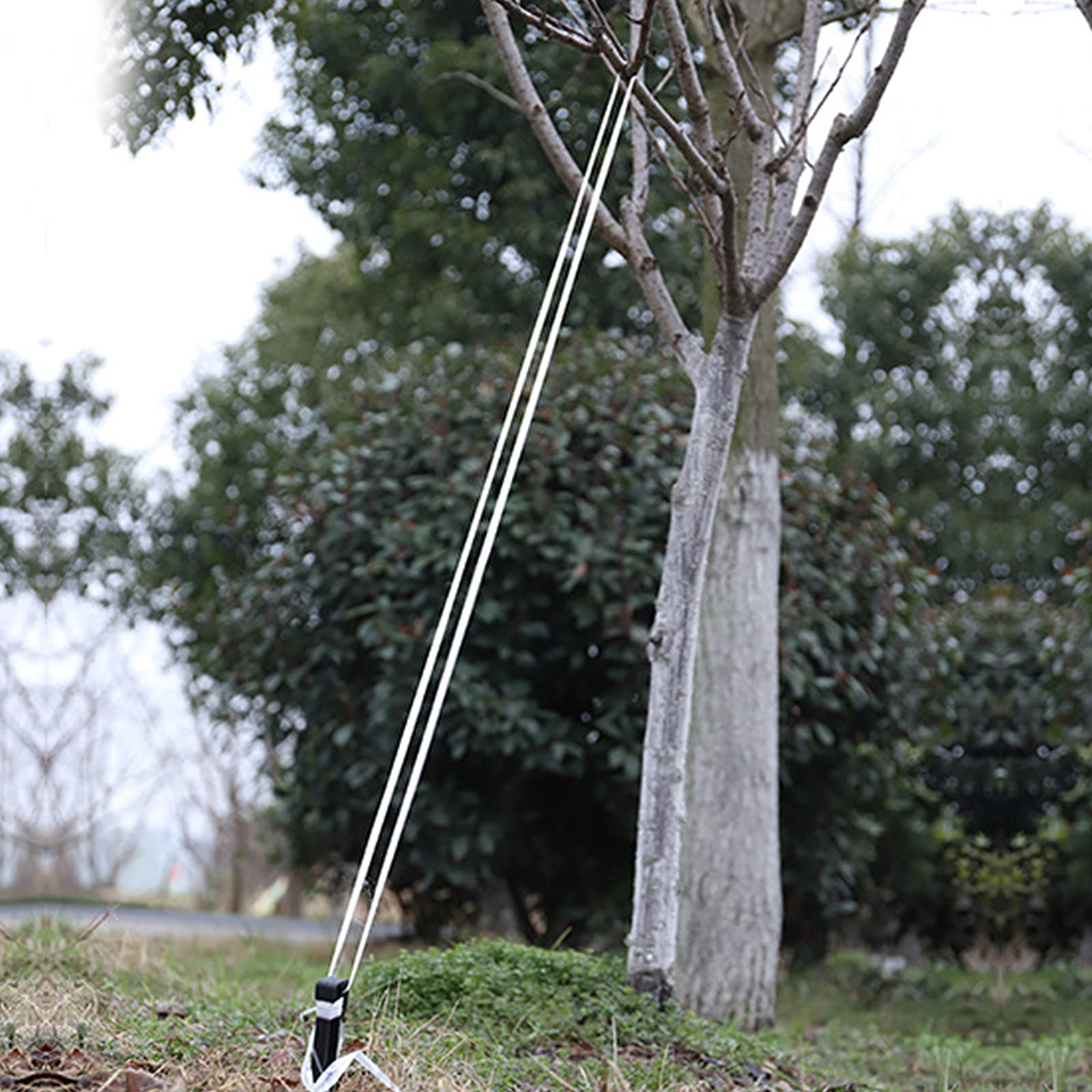 HJHIWE - Picchetti Da Giardino, 20 Pezzi, In Plastica Per Bordi Paesaggistici, Lunghezza 20 Cm, Resistenti E Più Grandi, Resistenti Per Bordi Da Giardino, Per Decorazioni Esterne, Bordi E Terrazza