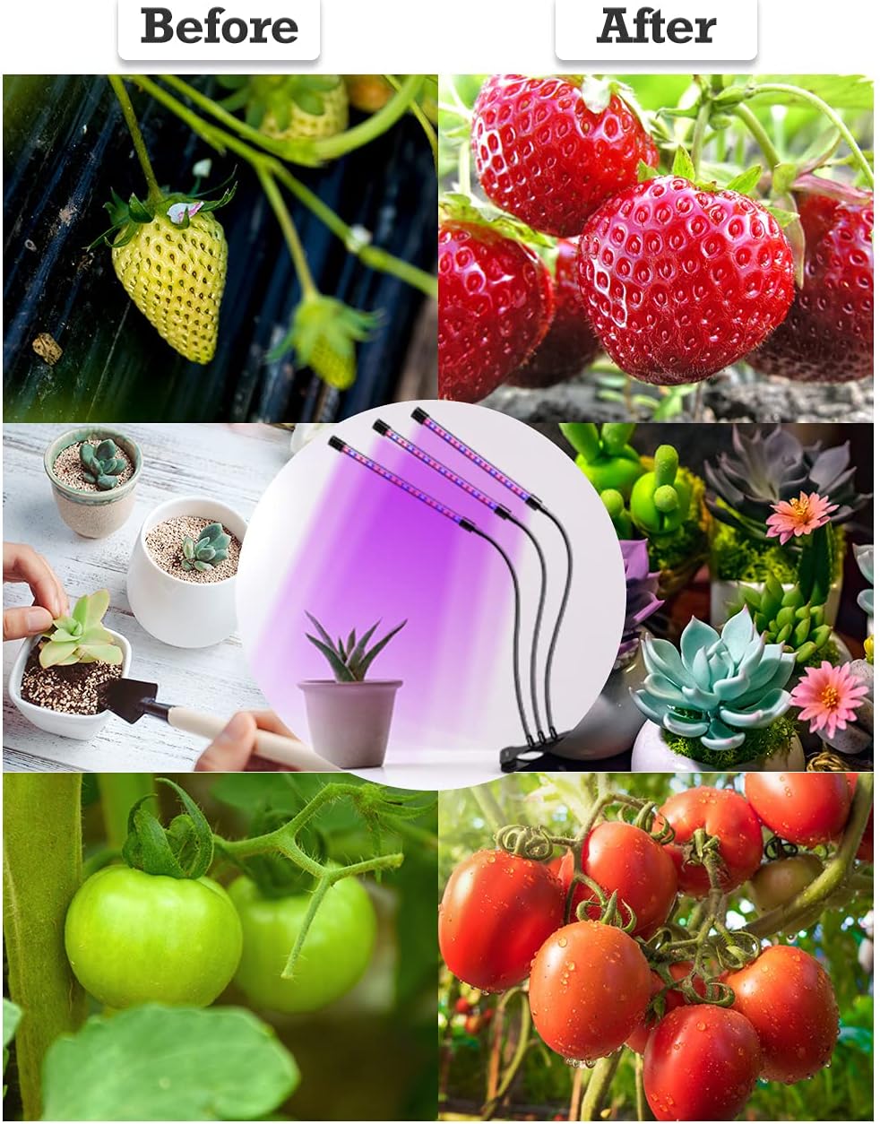 Grow Light for Indoor Plants, HOOMEDA Tri Head Plant Light with Full Spectrum, 4/8/12H Timer, 10 Dimmable Brightness,3 Switch Modes, Adjustable Gooseneck : Patio, Lawn & Garden