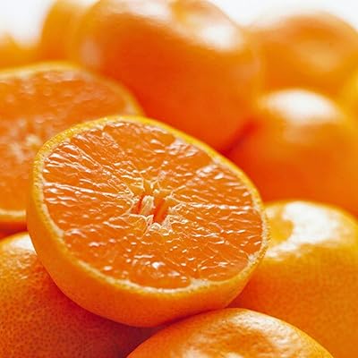 愛媛県産 愛媛みかん 約3kg サイズ混合 無農薬 ご家庭用 訳あり ミカン 蜜柑 大三島 お歳暮 ギフト