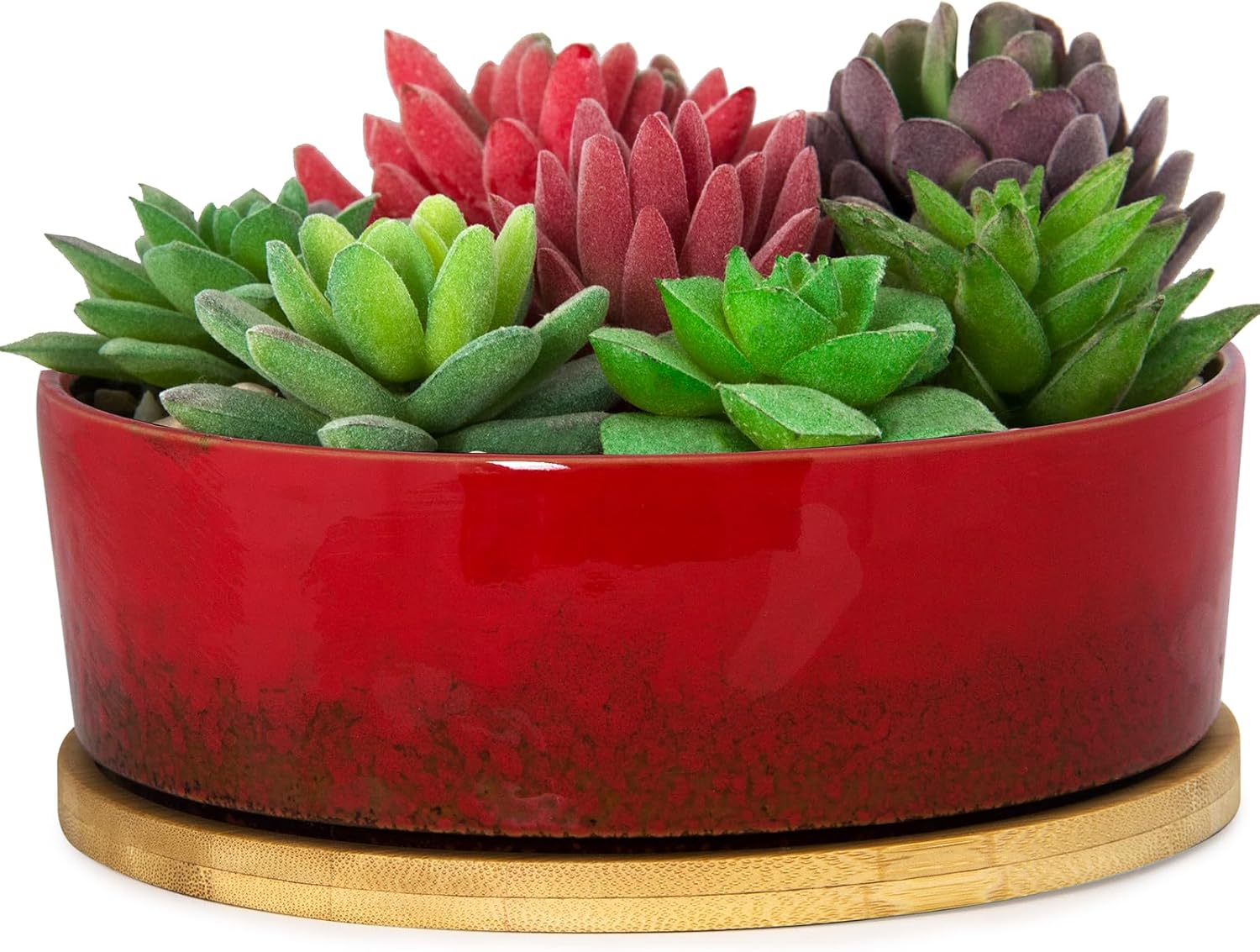 ARTKETTY Succulent Pots 7 Inch Ceramic Bonsai Pots with