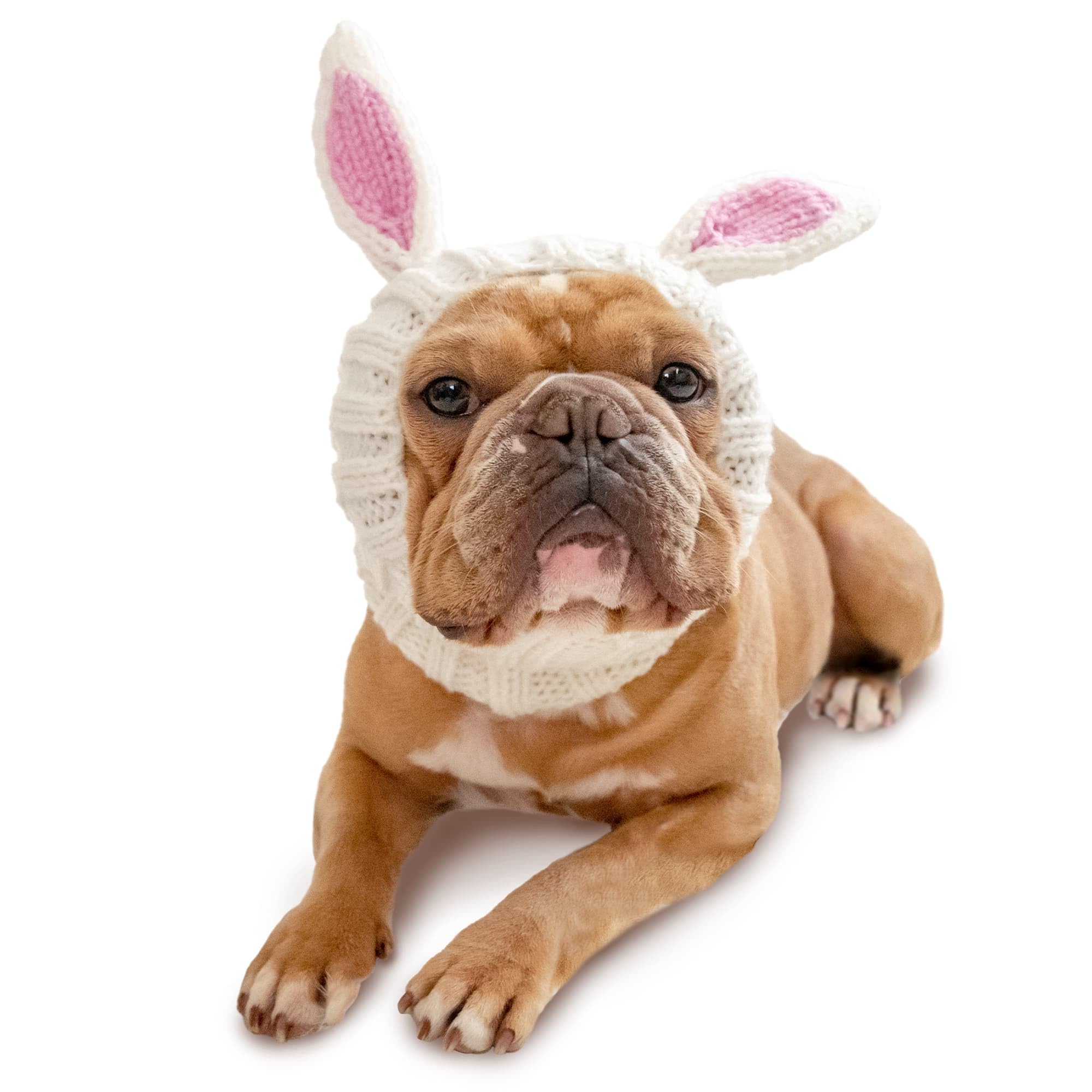 Zoo Snoods Bunny Costume - Knit Easter Dog Snood Ear Wrap for Pets, Warm Neck Cover for Halloween and Winter (Medium)