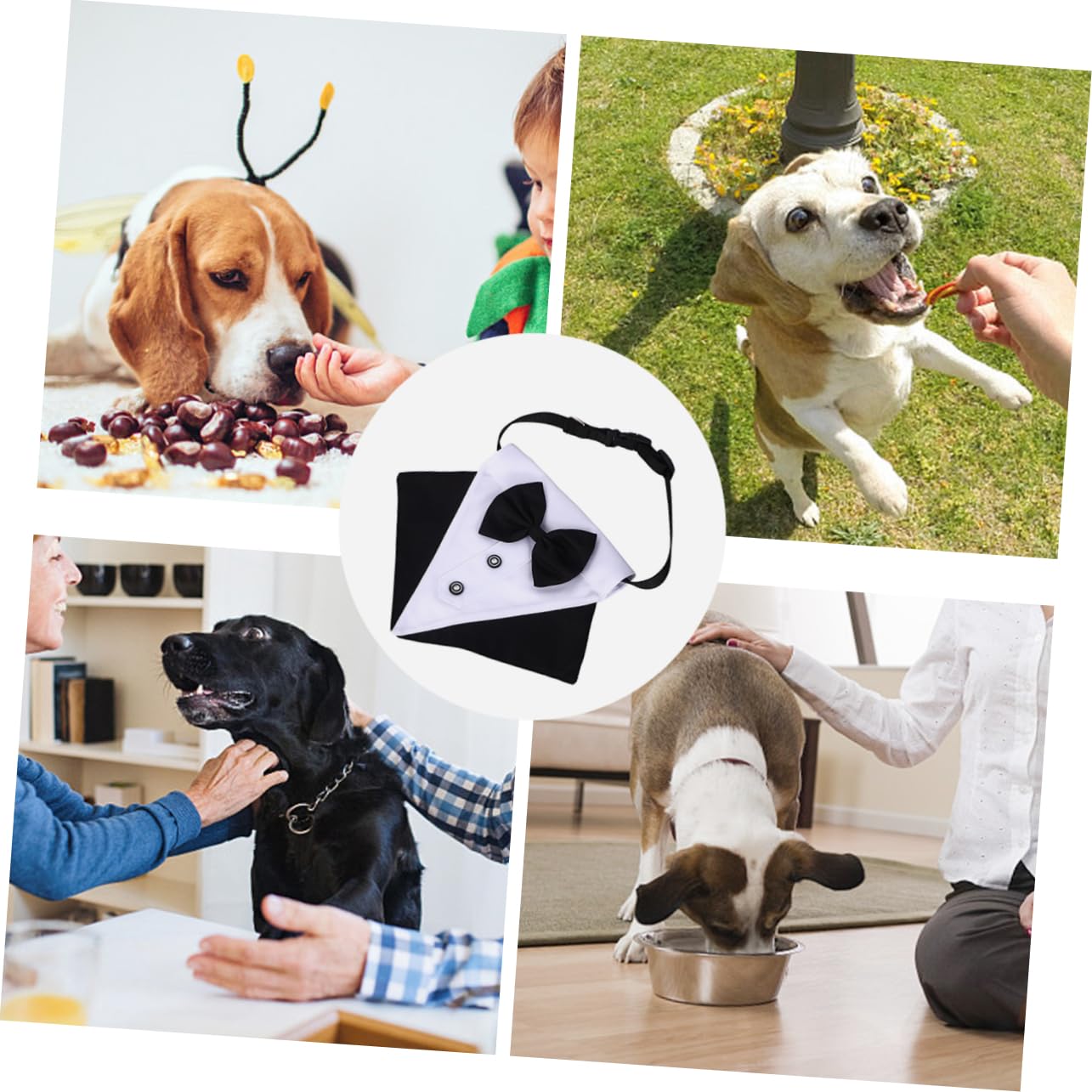Toyvian 3ensembles Bandana Triangulaire pour Chien Accessoire Stylé pour Animaux De Compagnie pour Sorties Photos