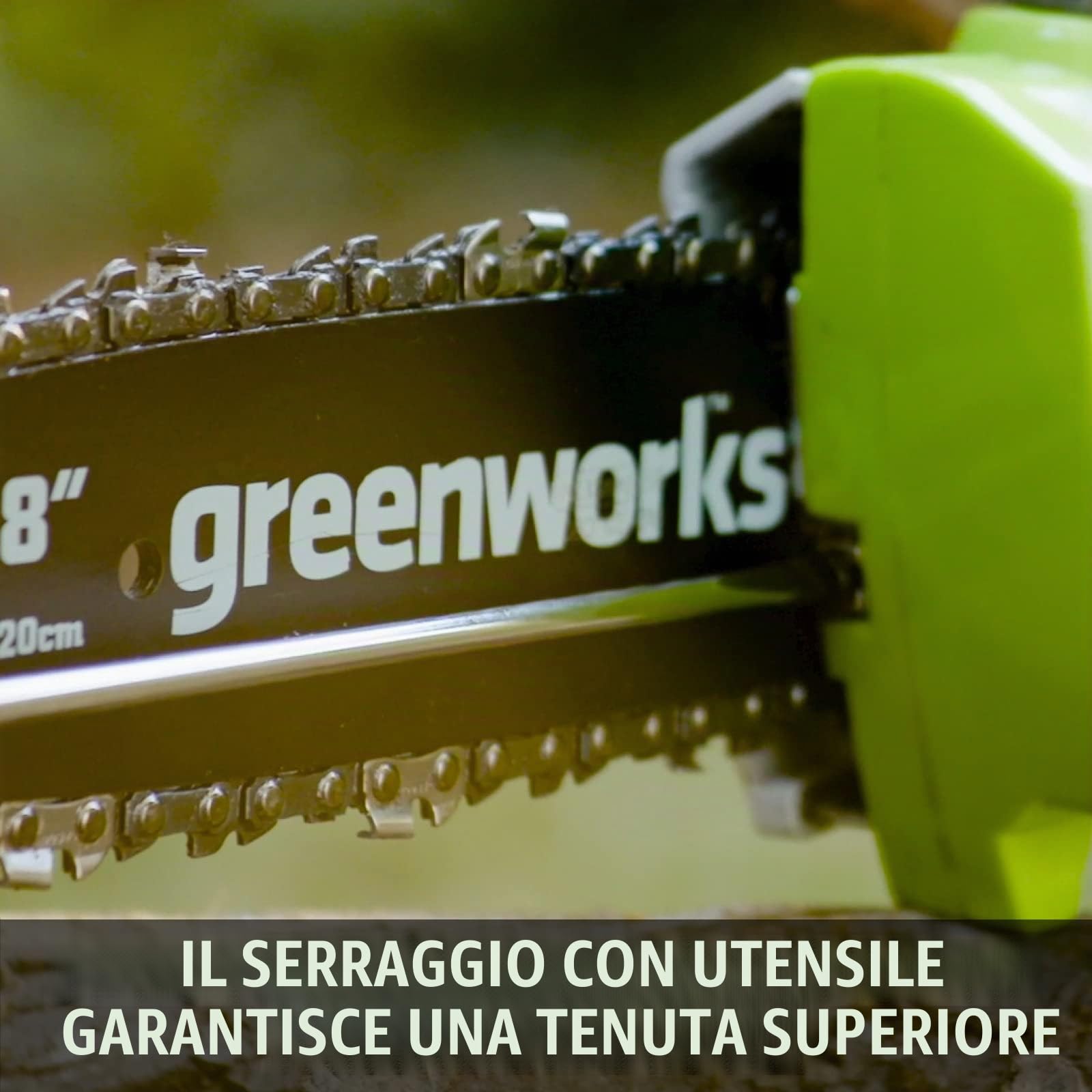 Greenworks Tools 2000107UA Potatore Telescopico con 2 Ah Batterie e Caricabatterie, 24 V, Verde, 20 cm (8") + Guida 20 cm (8") per Motosega, 29497