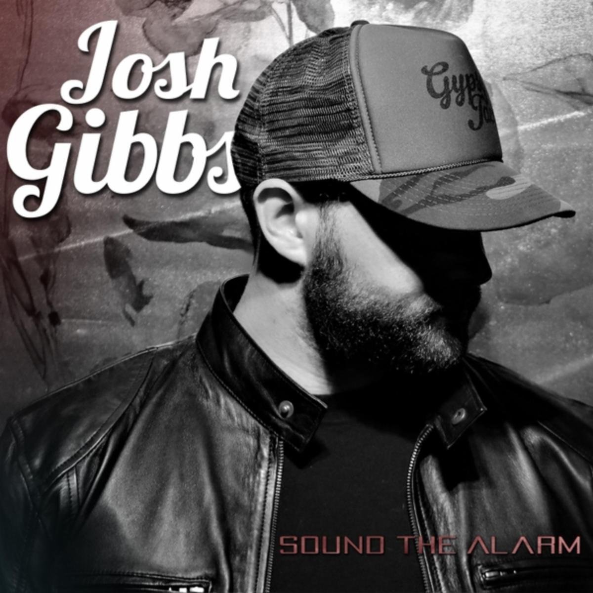 Josh Gibbs