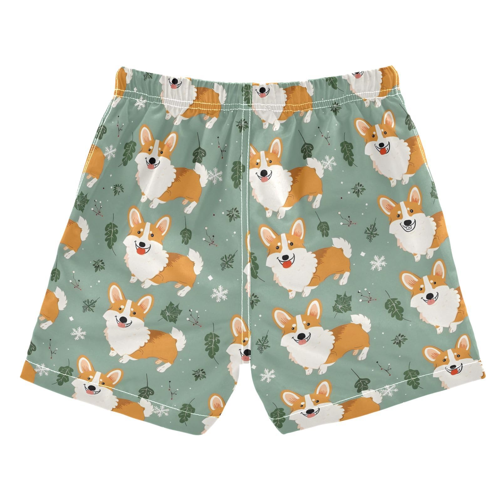 ALAZA Hedgehog Leaf Cherry Fruit Boys Quick Dry Beach Board Shorts Kids Swim Trunks Bathing Suit Swimsuit 3T